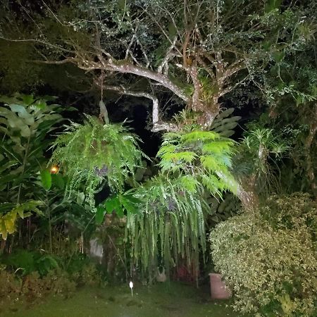 Villa San Antonio - El Valle De Anton מראה חיצוני תמונה